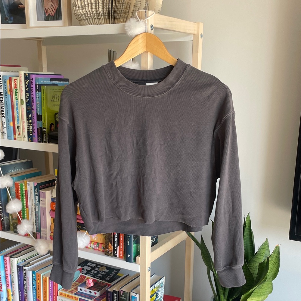 Women's Gray Cropped Long Sleeve